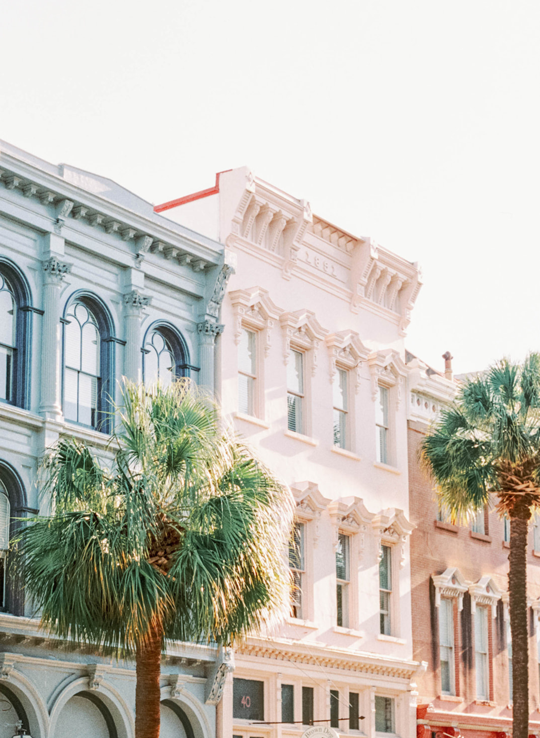 Building and palm trees in Charleston