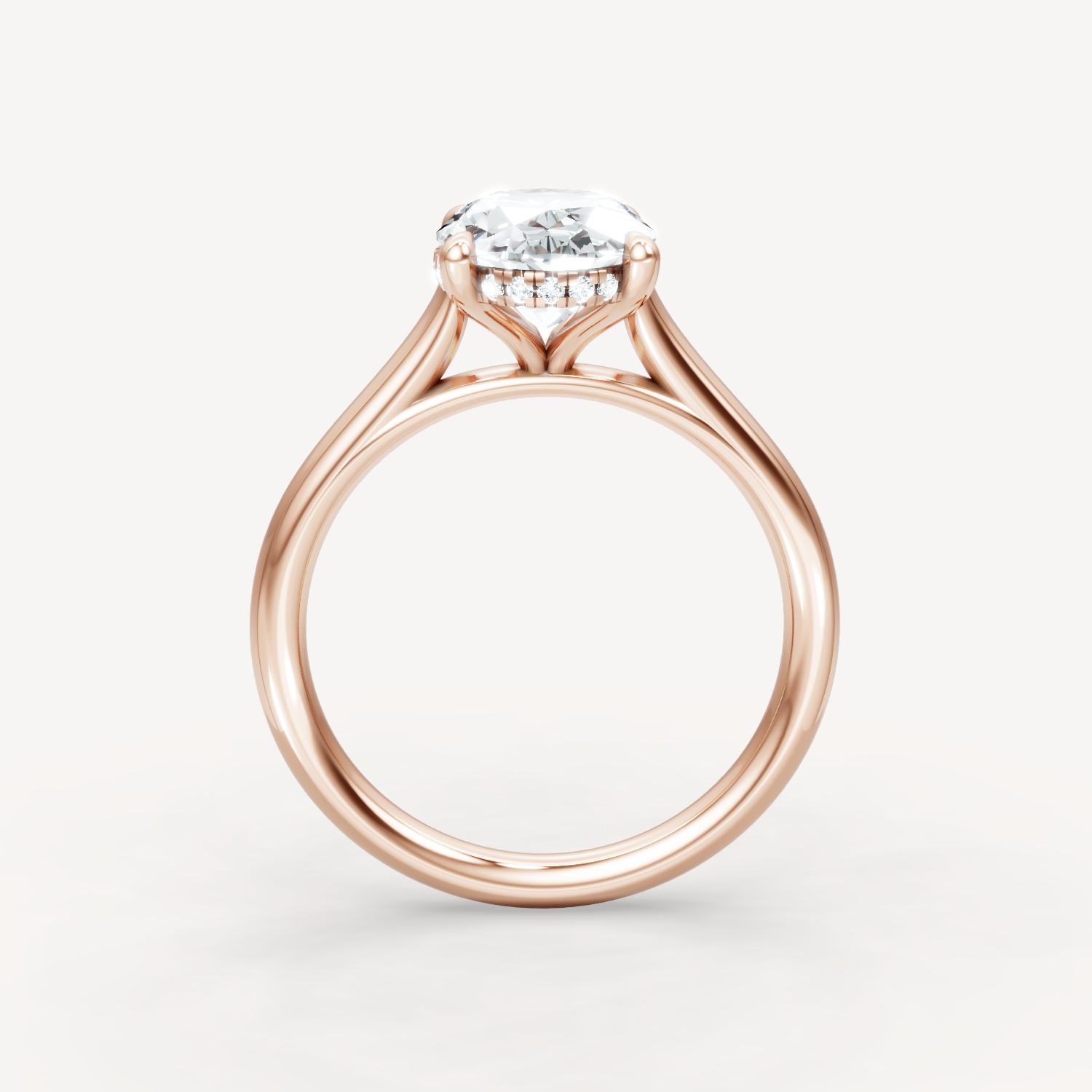 The Magnolia - Oval - Hidden Halo