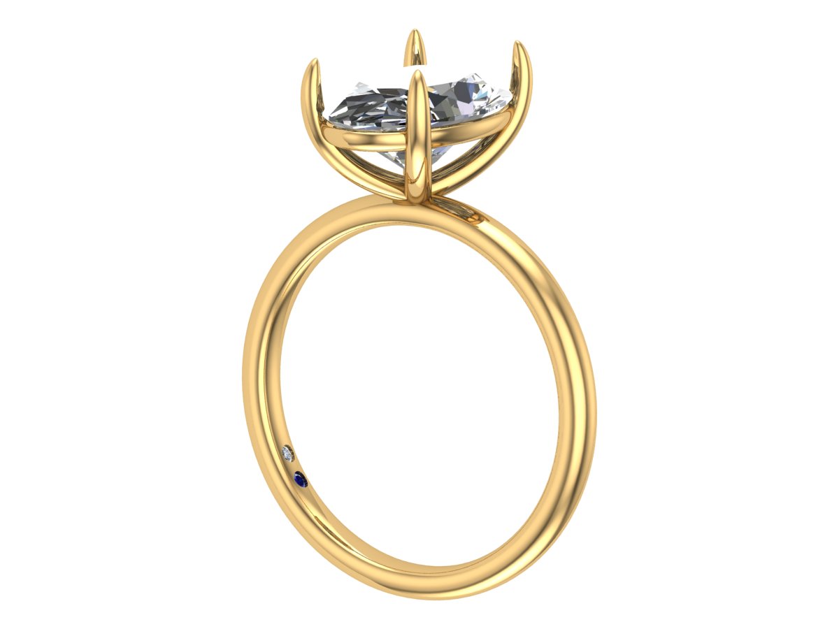 Baker's Truly Custom Engagement Ring